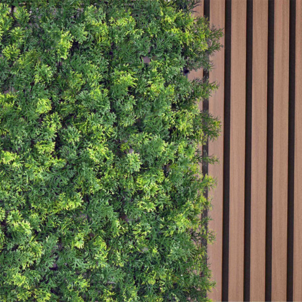 Jardín Vertical Cipres MZ188054A