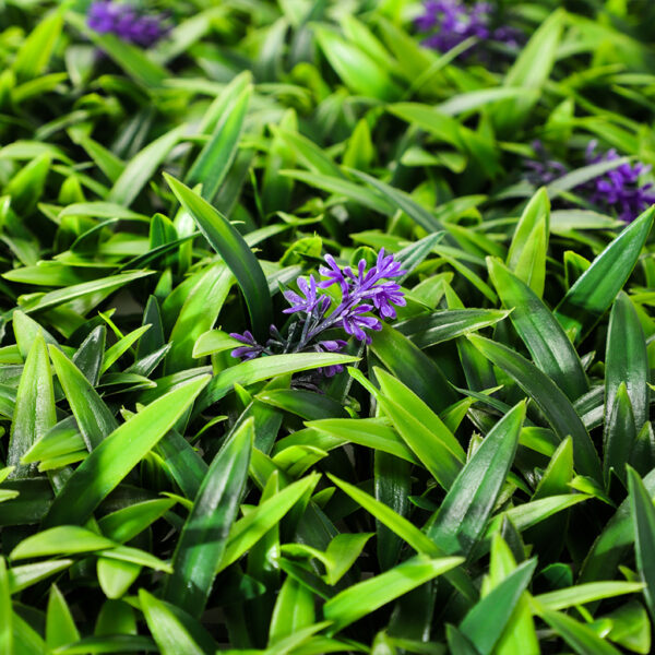 Jardín Vertical Lavanda MZ188033C