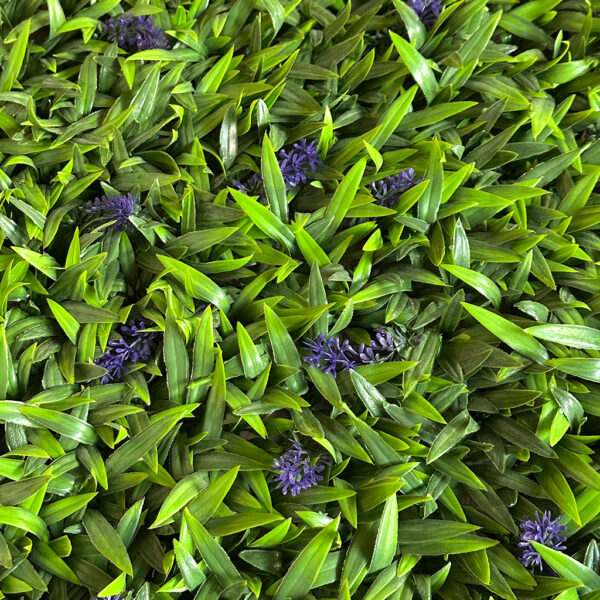 Jardín Vertical Lavanda MZ188033C