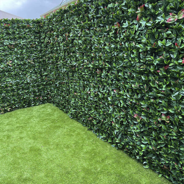 Jardín Vertical Fotinia MZ188001A