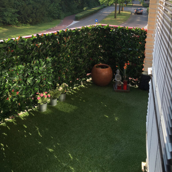 Jardín Vertical Fotinia MZ188001A