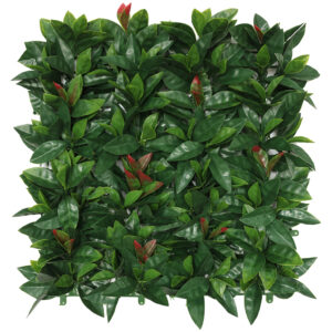 Jardín Vertical Fotinia MZ188001A