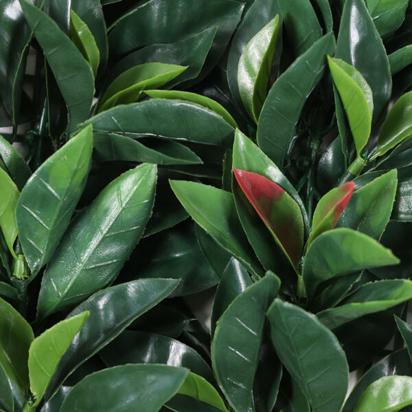 Jardín Vertical Fotinia MZ188001A