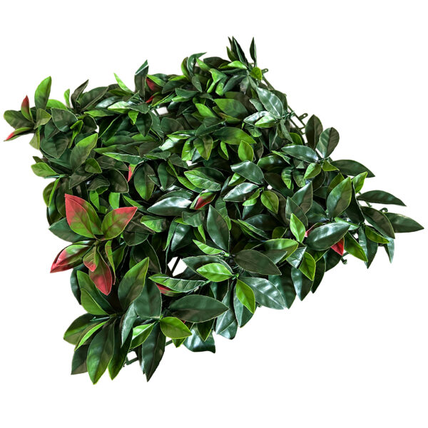 Jardín Vertical Fotinia MZ188001A