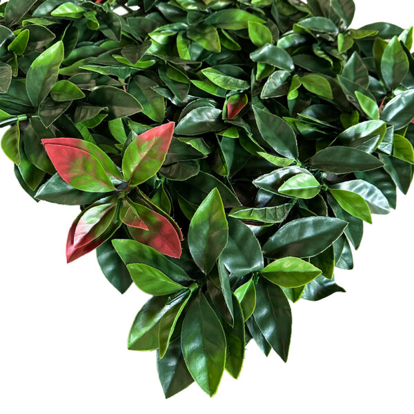 Jardín Vertical Fotinia MZ188001A