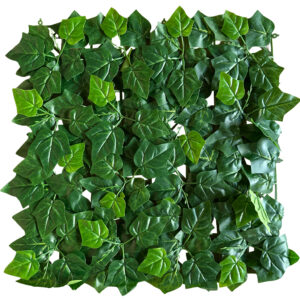 Jardín Vertical Aralia MZ199011B