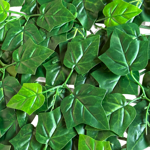 Jardín Vertical Aralia MZ199011B