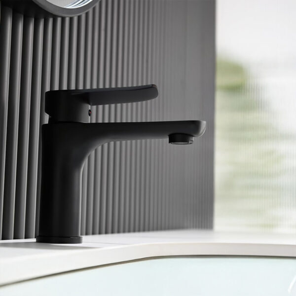 Grifería Canilla Murcia Negra FC425