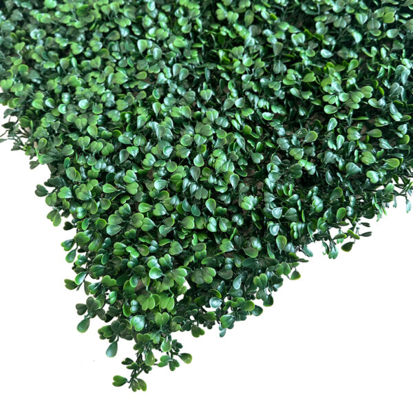 Jardín Vertical Buxus MZ188014C