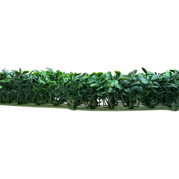 Jardín Vertical Buxus MZ188014C