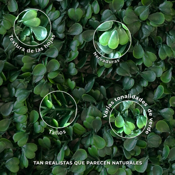 Jardín Vertical Buxus MZ188014C