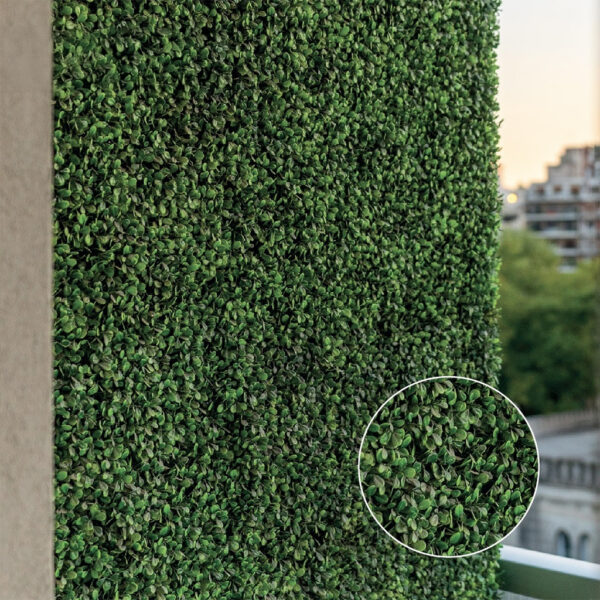 Jardín Vertical Buxus MZ188014C