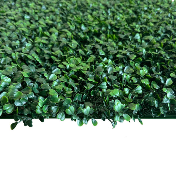 Jardín Vertical Buxus MZ188014C