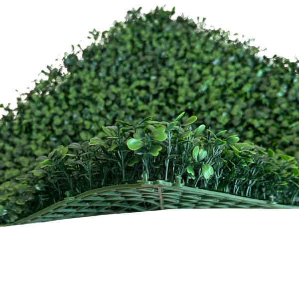 Jardín Vertical Buxus MZ188014C