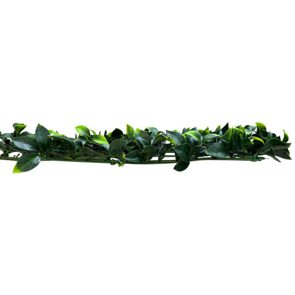 Jardín Vertical Gardenia MZ188024U