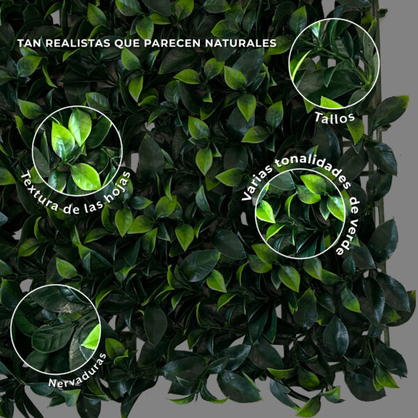 Jardín Vertical Gardenia MZ188024U