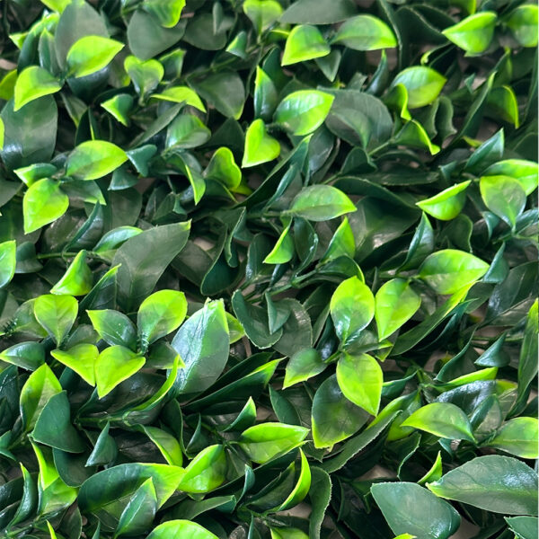 Jardín Vertical Gardenia MZ188024U