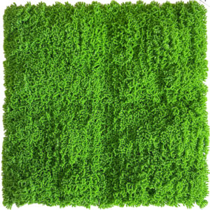 Jardín Vertical Musgo MZ188062A